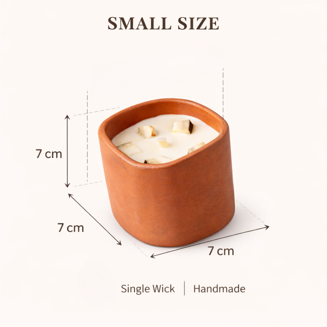 Rasal | Mango Coconut Soy Wax Candle | Terracotta Pot