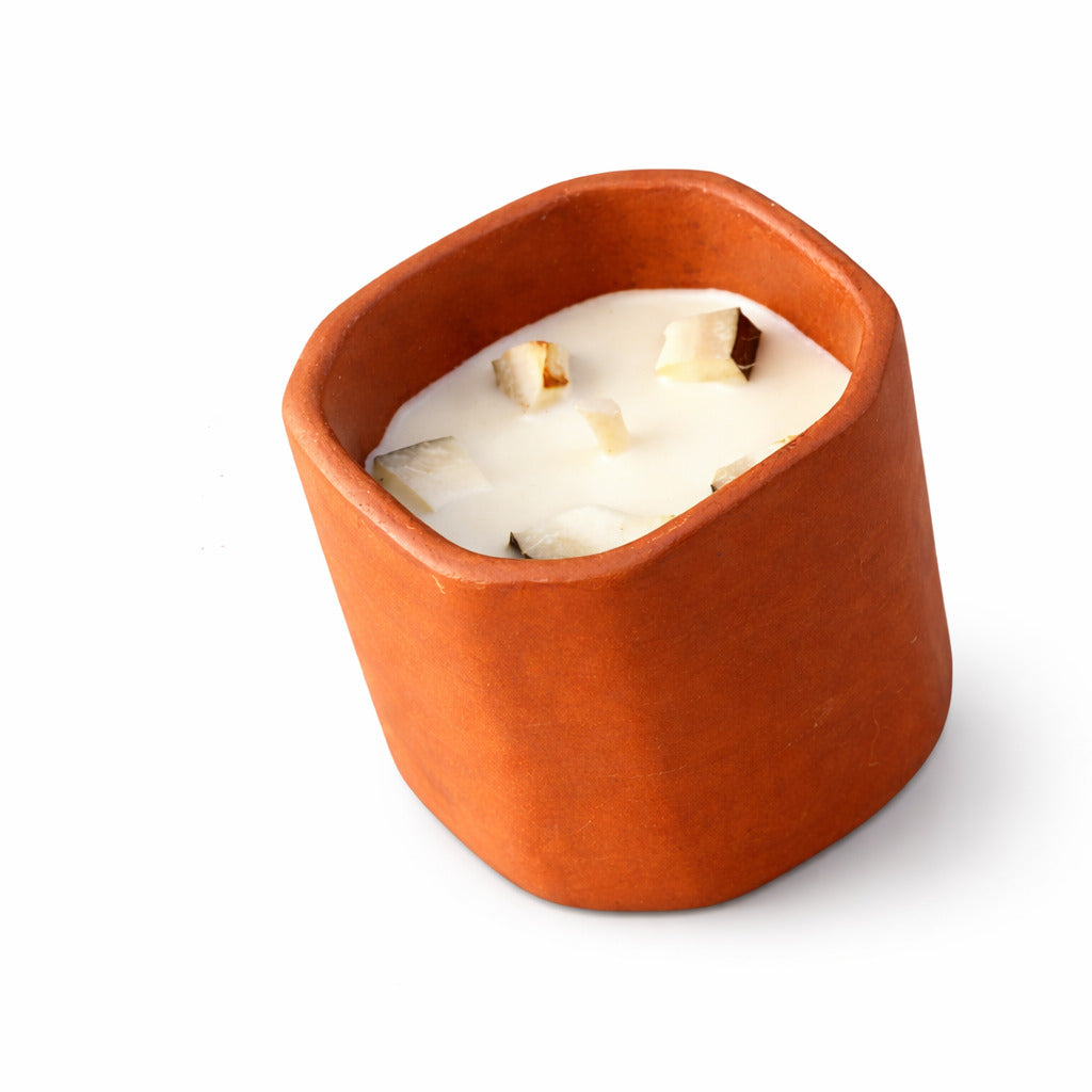 Rasal | Mango Coconut Soy Wax Candle | Terracotta Pot