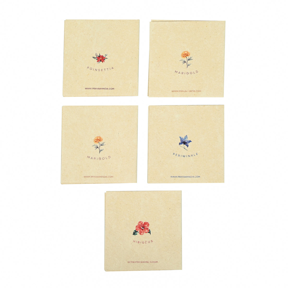 Pushp Hemp Paper Gift Cards | Set of 5 Cards and Envelopes