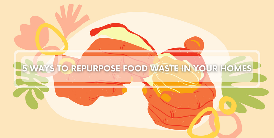 7 Ways to Repurpose Food Waste in your Homes