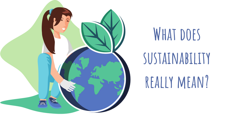What does sustainability really mean?