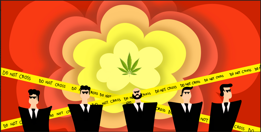 The Impact of US on Hemp