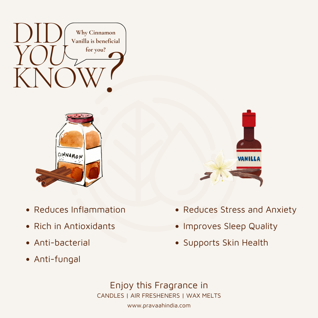 Bayaar XL | 100% Soy Wax Candle | 5 and 7 wick | Cinnamon Vanilla