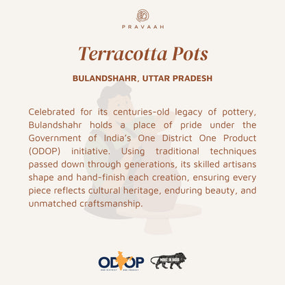 Bayaar XL | 100% Soy Wax Candle | 5 and 7 wick | Cinnamon Vanilla