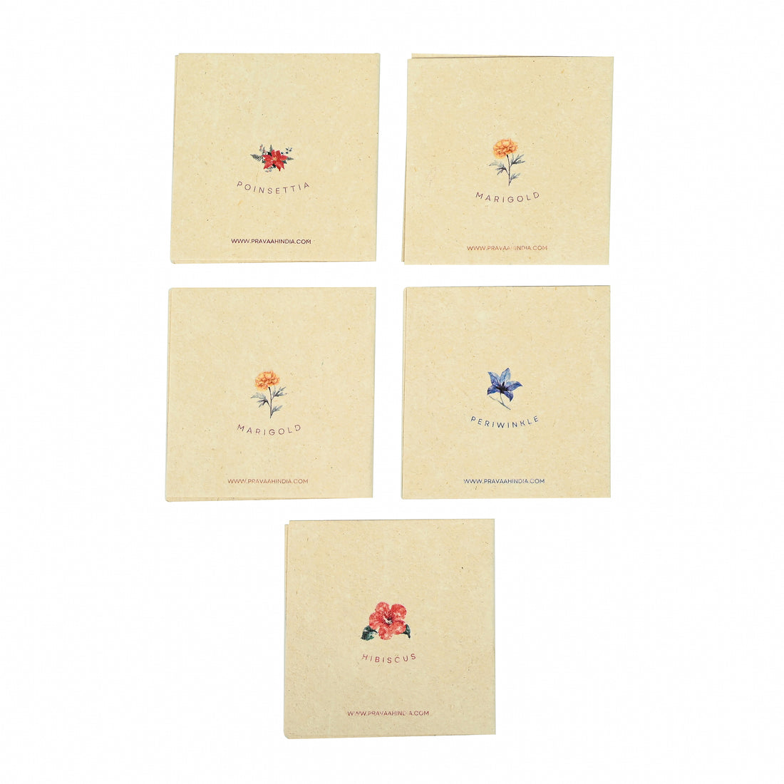 Pushp Hemp Paper Gift Cards | Set of 5 Cards and Envelopes