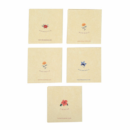 Pushp Hemp Paper Gift Cards | Set of 5 Cards and Envelopes