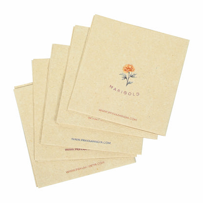 Pushp Hemp Paper Gift Cards | Set of 5 Cards and Envelopes