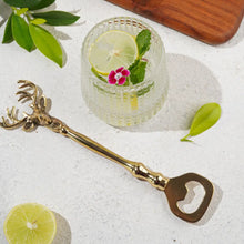 Load image into Gallery viewer, Saarang Bar Set | Lead-free Brass | Set of 4 | Gold
